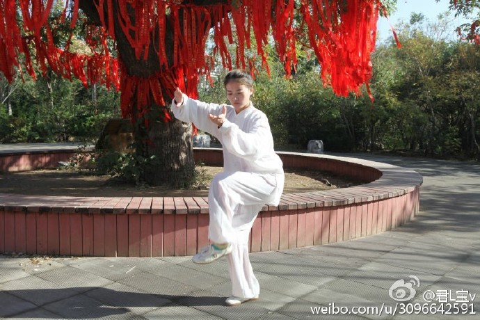 主教练：赵紫君